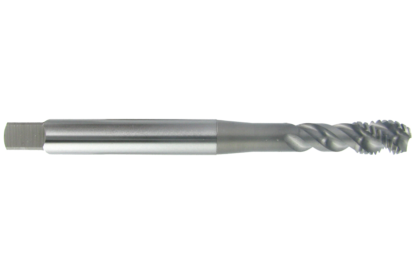 CC-HL-SFT M8