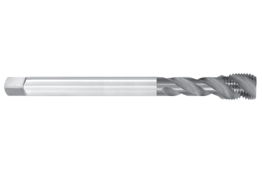 CC-HL-SFT M12